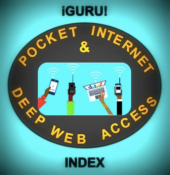 Pocket Internet &amp; Deep Web Access